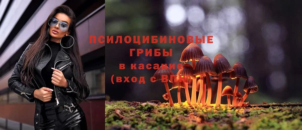 apvp Армянск
