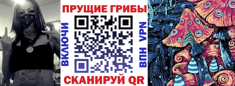 даркнет наркотические препараты  Кувшиново  Псилоцибиновые грибы мицелий 